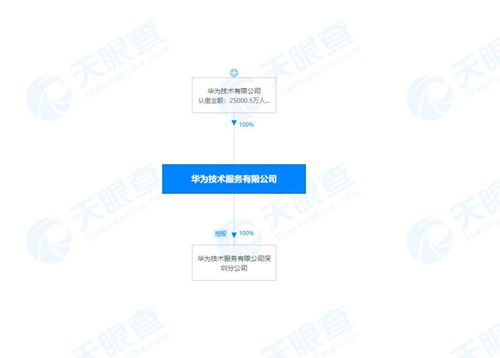 信息技术咨询服务的价值与未来趋势
